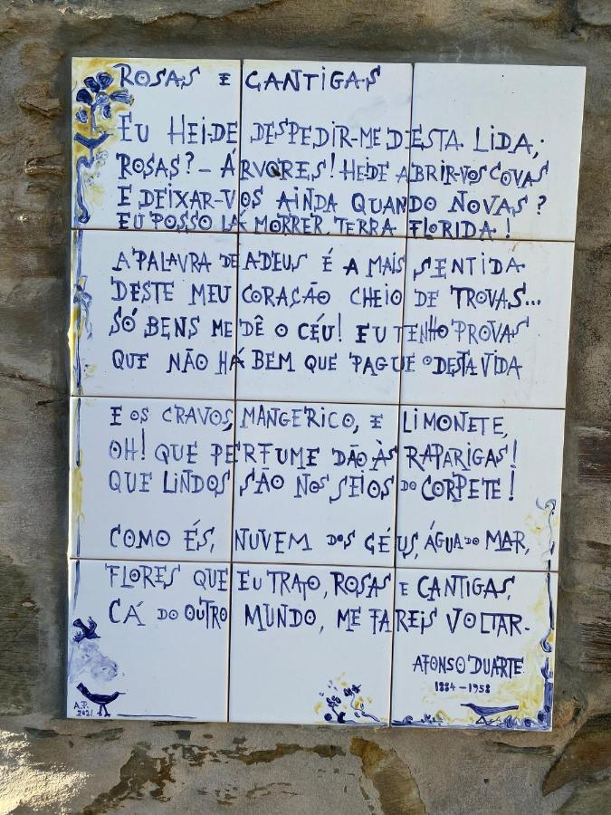 Quinta Do Alagao Lejlighed Coja Eksteriør billede